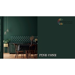 pine cone.jpg